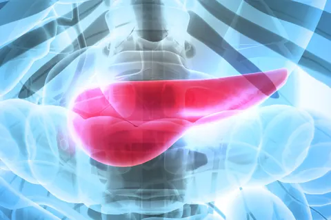 Cancer du pancréas : essai clinique prometteur avec un anticorps en 2026