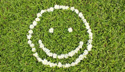 Désensibilisation sublinguale contre les allergies respiratoires
