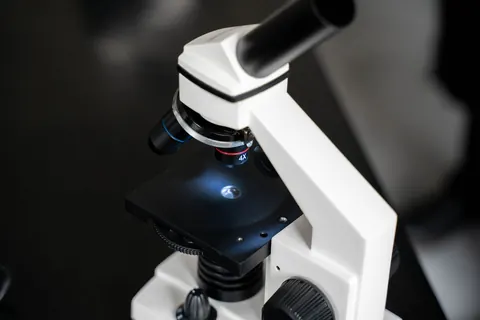 Diagnostic préimplantatoire des aneuploïdies en France