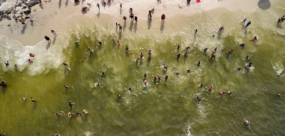Eutrophisation à Rio de Janeiro : la baie de Guanabara en danger