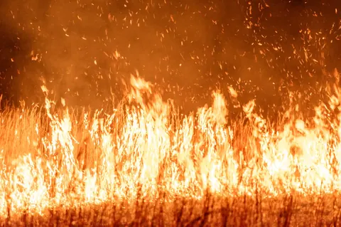 Incendie dans le Var : 1 700 hectares parcourus et centaines de personnes évacuées