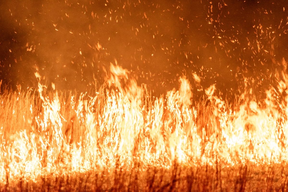 Illustration : Incendie dans le Var : 1 700 hectares parcourus et centaines de personnes évacuées