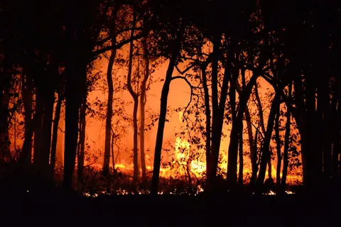 Incendies de forêts dans l’Aude : la science étudie les impacts