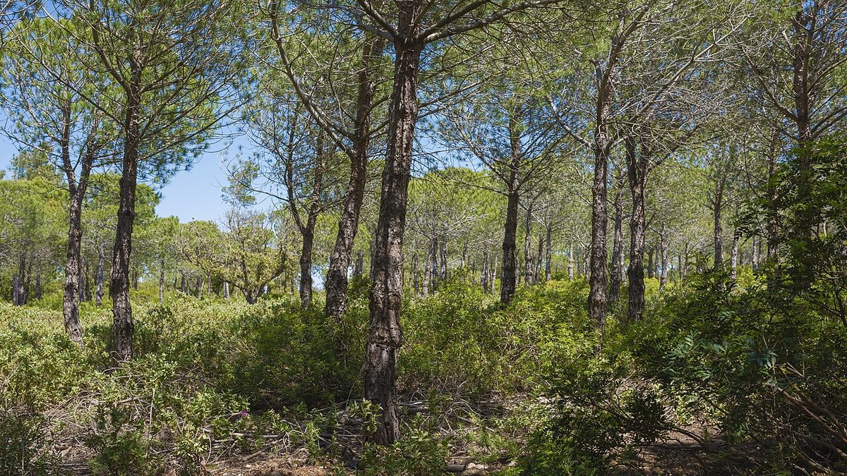 Illustration : La loi sur la protection de la nature fête ses 50 ans