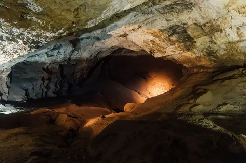 Découverte d’une dent de Néandertalien avec trace d’intervention dentaire il y a 60 000 ans