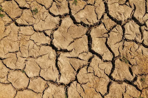 Réchauffement climatique et biodiversité en danger
