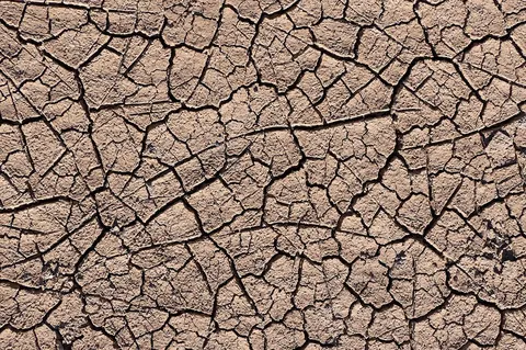 Sécheresse estivale en France : les conséquences du changement climatique