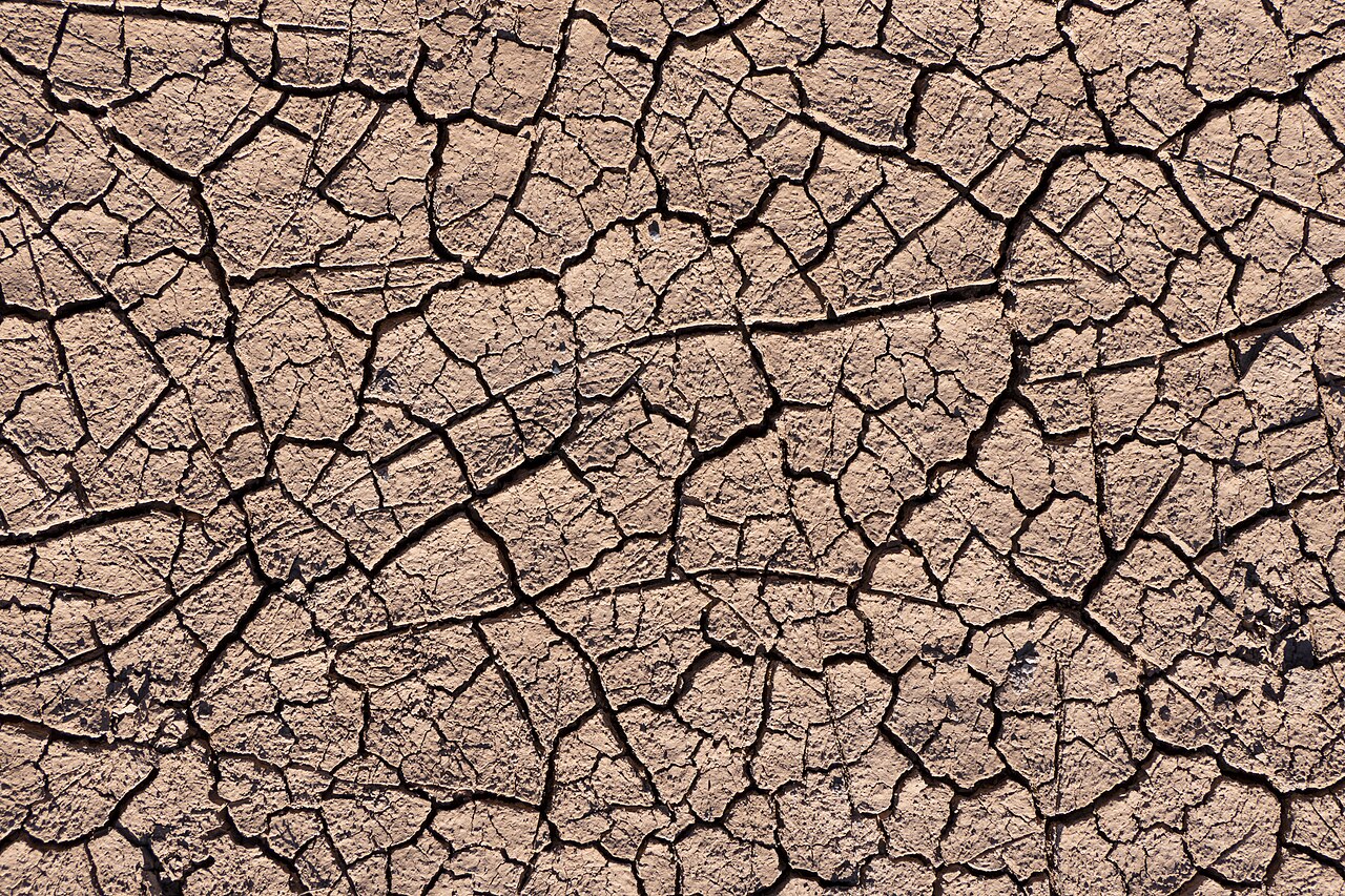 Sécheresse estivale en France : les conséquences du changement climatique