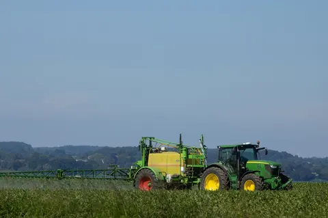 Le Sénat vote le retour de l’acétamipride dans la loi d’urgence agricole
