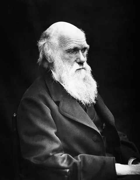La Théorie de l'Évolution de Darwin