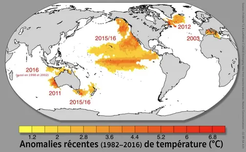 Vague de chaleur historique dans le nord-ouest de la Méditerranée